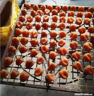 广西桂林平乐桥亭【柿饼之乡】2025年纯手工制作、无任何添加剂的第一批柿饼准备上市了，欢迎联系订购！ - 淮安28生活网 ha.28life.com