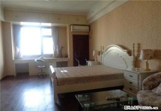 万达精装朝南一室公寓，阳光充足，家电齐全，看房方便！ - 淮安28生活网 ha.28life.com