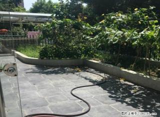 茂华国际一楼带院子50平方设施齐全欧式装修设施齐全 - 淮安28生活网 ha.28life.com