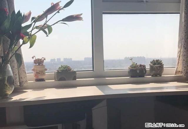 荷湖星城 精装一室 朝南 楼层好 采光棒 拎包入住 - 房屋出租 - 房屋租售 - 淮安分类信息 - 淮安28生活网 ha.28life.com