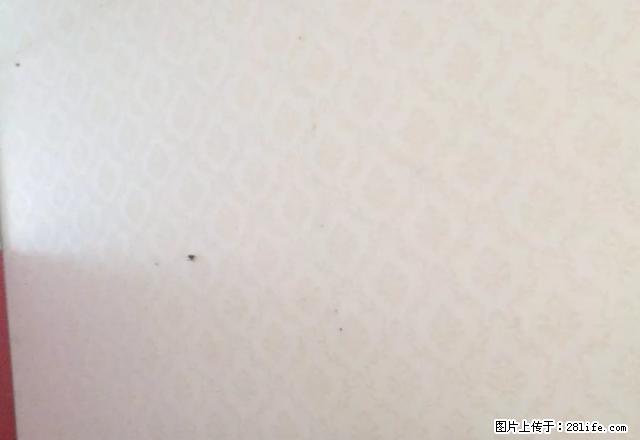 出租东长街门面,无转让费,无中介费 - 房屋出租 - 房屋租售 - 淮安分类信息 - 淮安28生活网 ha.28life.com