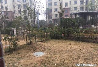 中南隔壁香槟国际花式洋房复式三层,长期对外出租可做仓库外卖办 - 淮安28生活网 ha.28life.com