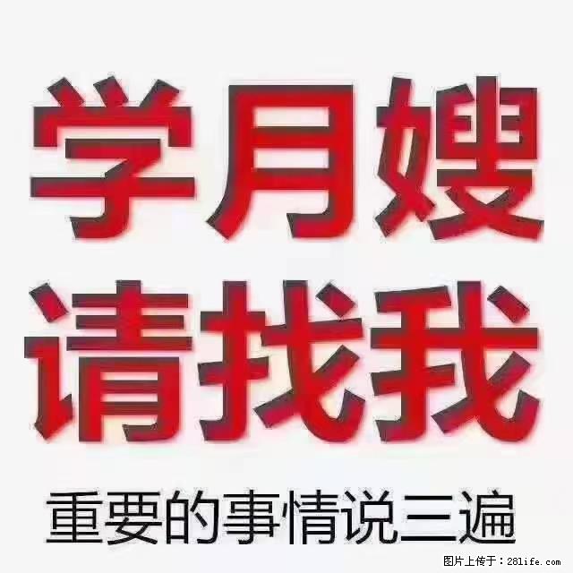 【招聘】月嫂,上海徐汇区 - 职场交流 - 淮安生活社区 - 淮安28生活网 ha.28life.com