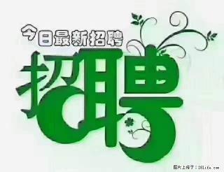 上海隔离酒店招人:55岁以下 男女不限 - 淮安28生活网 ha.28life.com