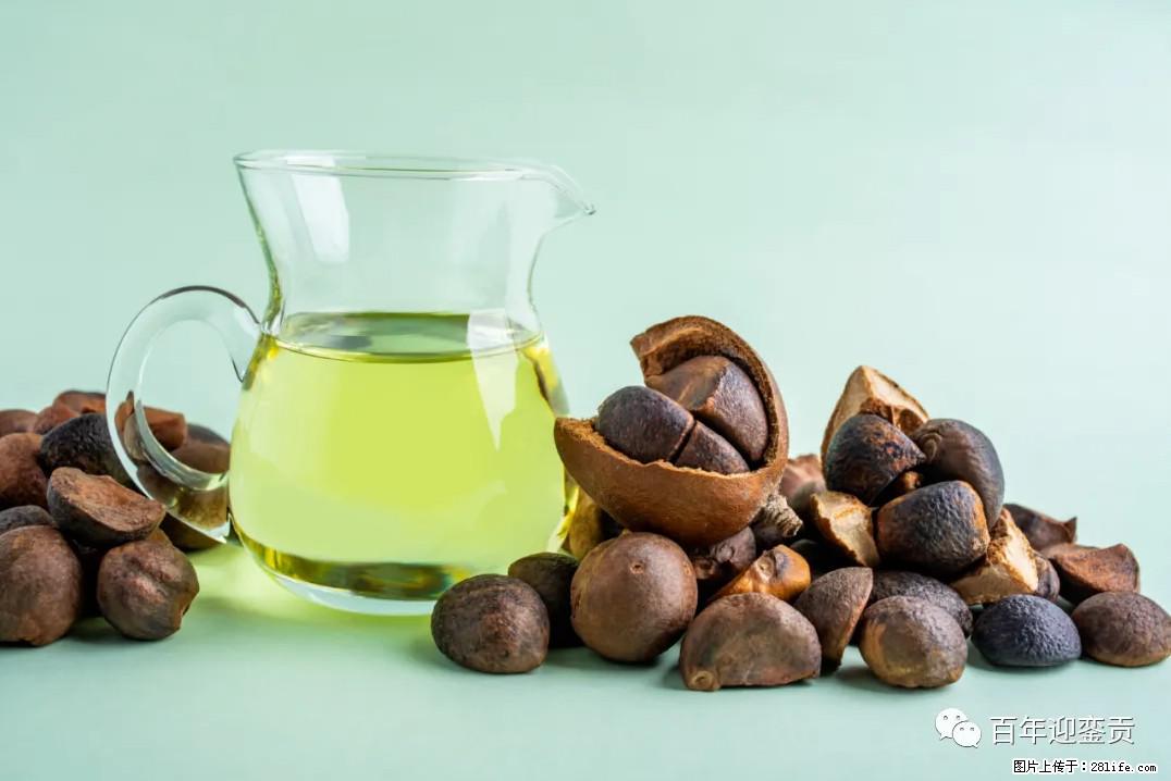 世界没有真相，只有认知，最好的食用油是中国的山茶油！ - 淮安生活资讯 - 淮安28生活网 ha.28life.com