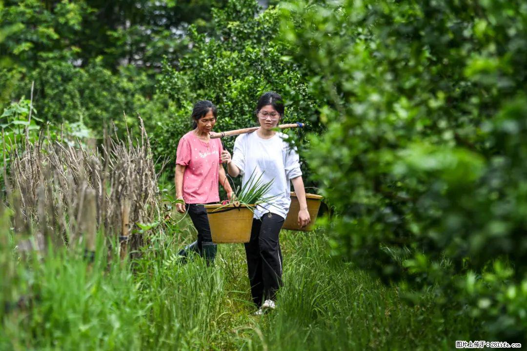 全网追的“扁担女孩”，找了一份暑假工，时薪12元 - 淮安生活资讯 - 淮安28生活网 ha.28life.com