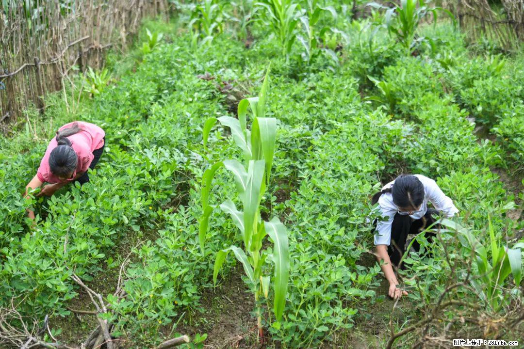 全网追的“扁担女孩”，找了一份暑假工，时薪12元 - 淮安生活资讯 - 淮安28生活网 ha.28life.com