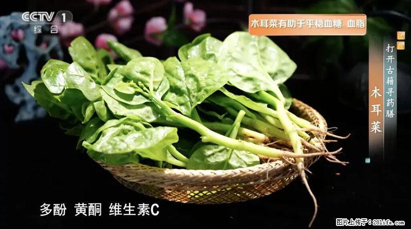 比牛奶补钙还厉害！凉血解毒、稳血糖...这菜冬天必吃，很多人却当草 - 淮安生活资讯 - 淮安28生活网 ha.28life.com