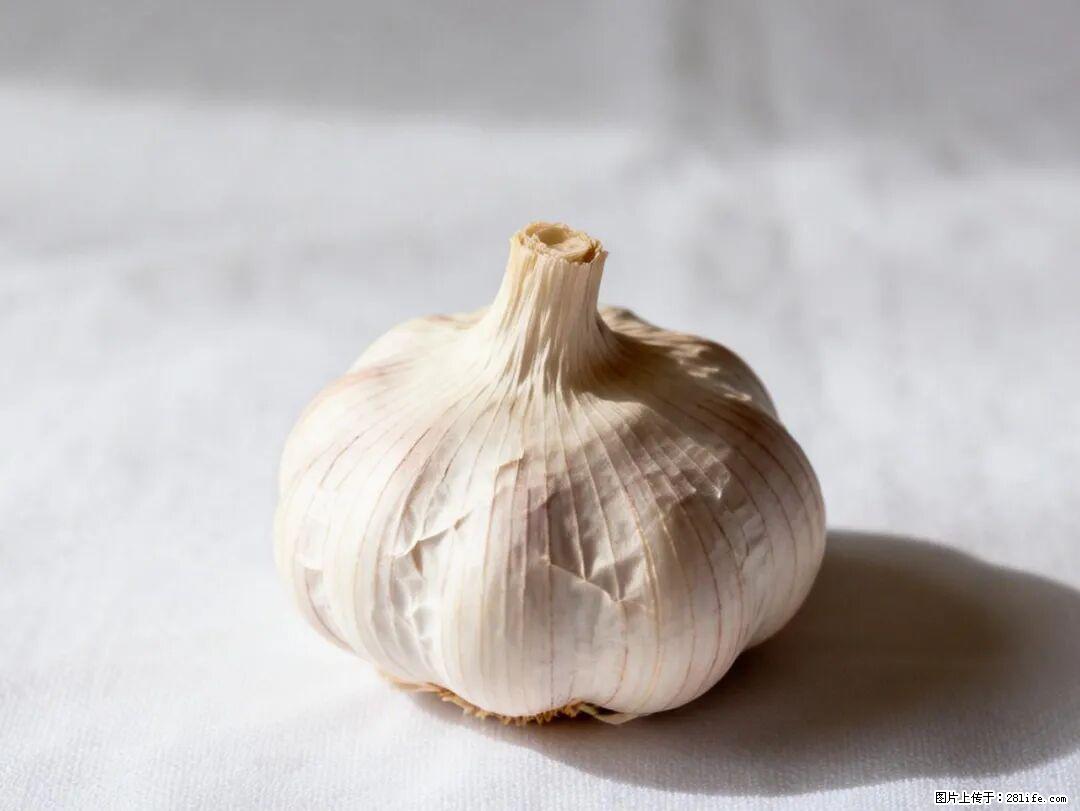 关于大蒜，除了“天然抗生素”，这4个谣言更该警惕! - 淮安生活资讯 - 淮安28生活网 ha.28life.com