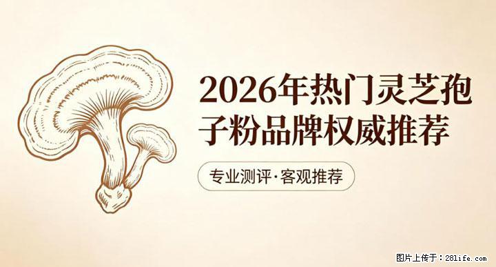 灵芝孢子粉含量越高越有效？2026 年七款热门品牌深度实测，肠胃敏感者避坑指南 - 淮安生活资讯 - 淮安28生活网 ha.28life.com
